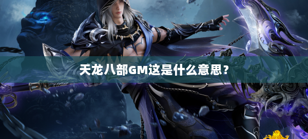 天龙八部GM这是什么意思？  第2张