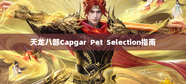 天龙八部Capgar Pet Selection指南