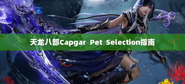 天龙八部Capgar Pet Selection指南