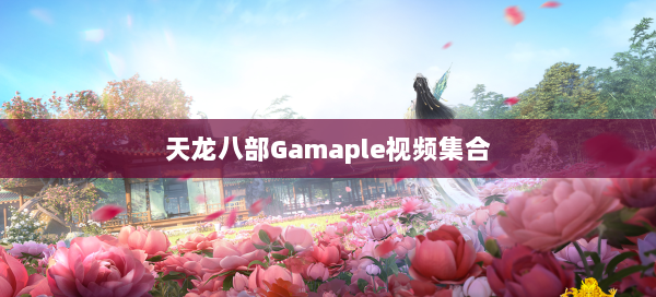 天龙八部Gamaple视频集合 第3张